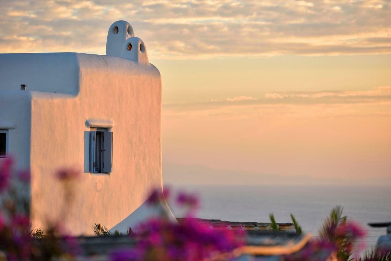 Leno Villas Mykonos Mykonos Town エクステリア 写真